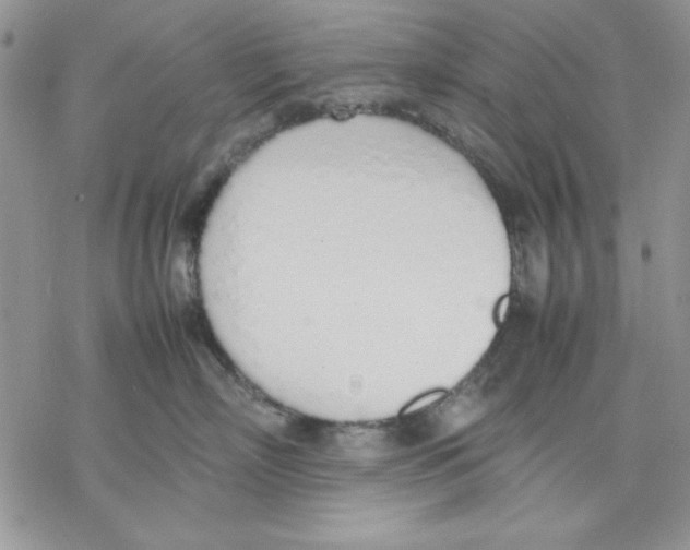 X0000077280718200611171602