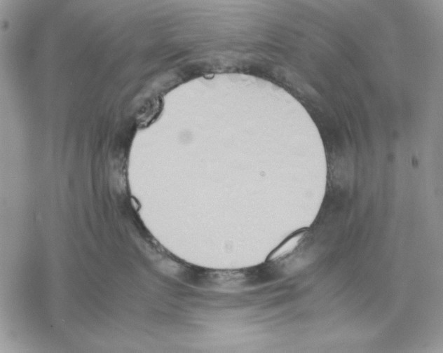 X0000077280719200611171602