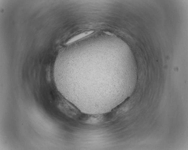 X0000077280720200611171602