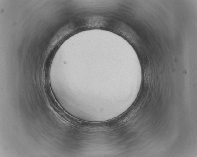 X0000077280722200611171601