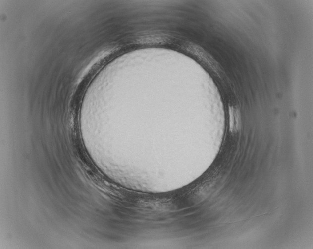 X0000077280723200611171601