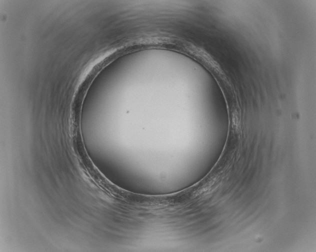 X0000077280724200611171601