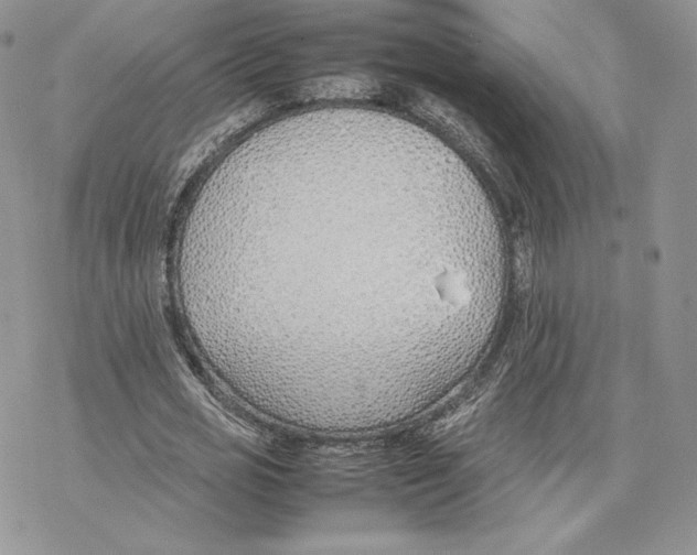 X0000077280725200611171601