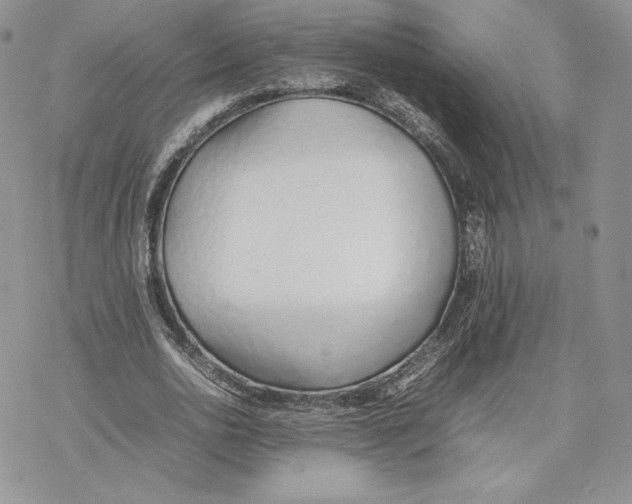 X0000077280726200611171601