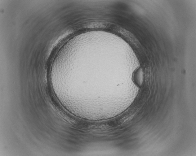 X0000077280727200611171601