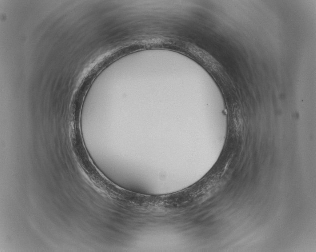 X0000077280728200611171601