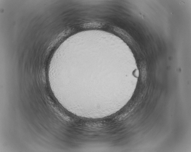 X0000077280729200611171601