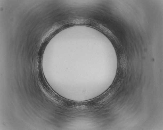 X0000077280730200611171601