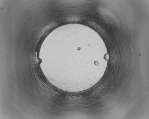 X0000077280731200611171601