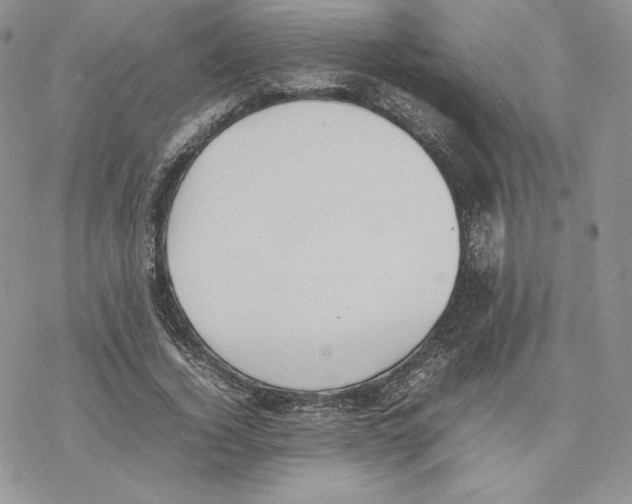 X0000077280732200611171601