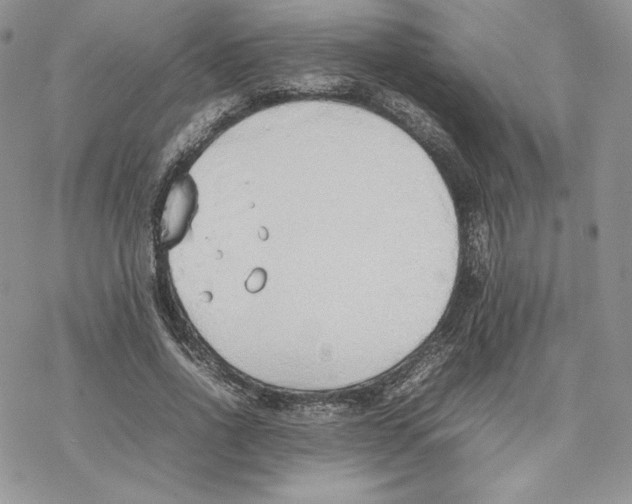 X0000077280734200611171601