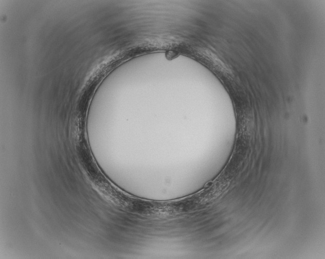 X0000077280736200611171601