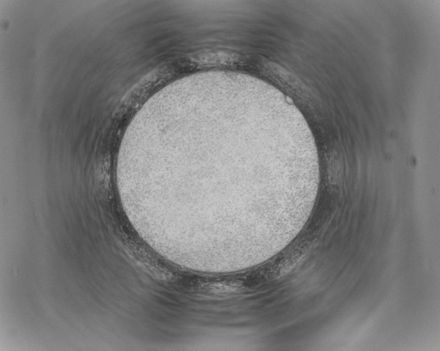 X0000077280737200611171601