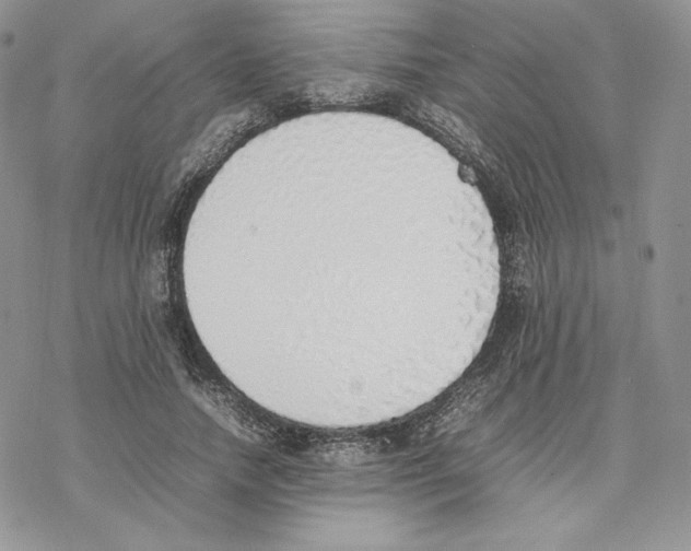 X0000077280738200611171601