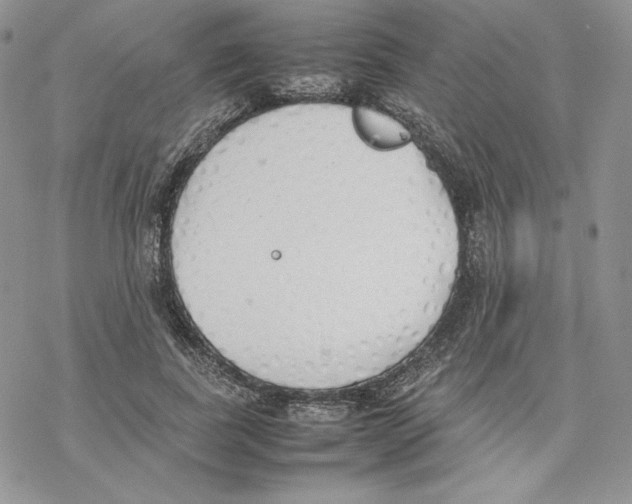 X0000077280739200611171601