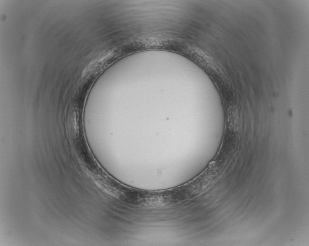 X0000077280740200611171601