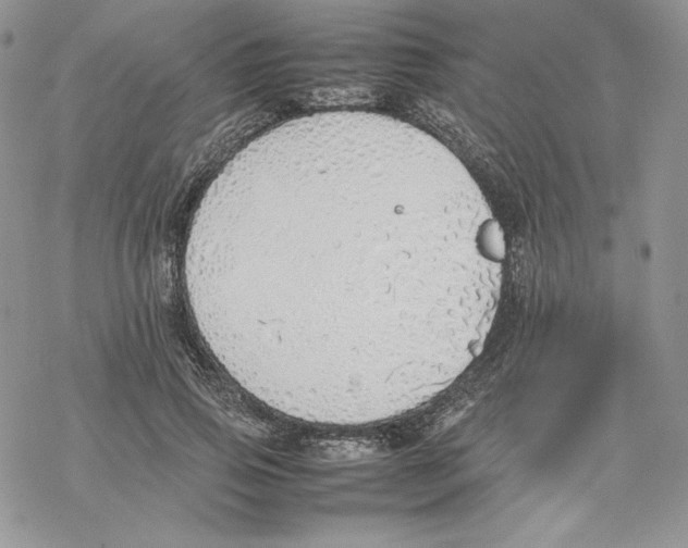 X0000077280741200611171601