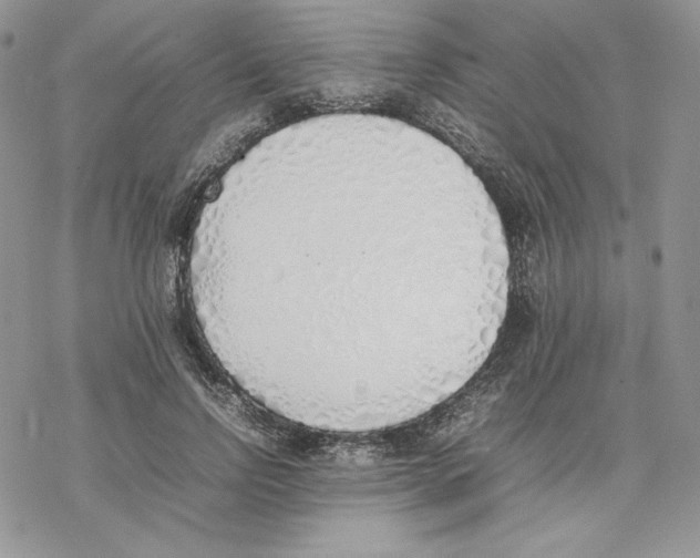 X0000077280742200611171601