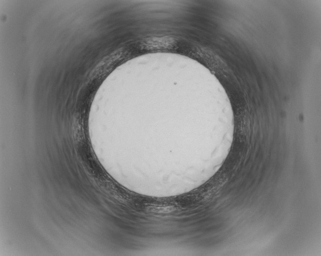 X0000077280743200611171601