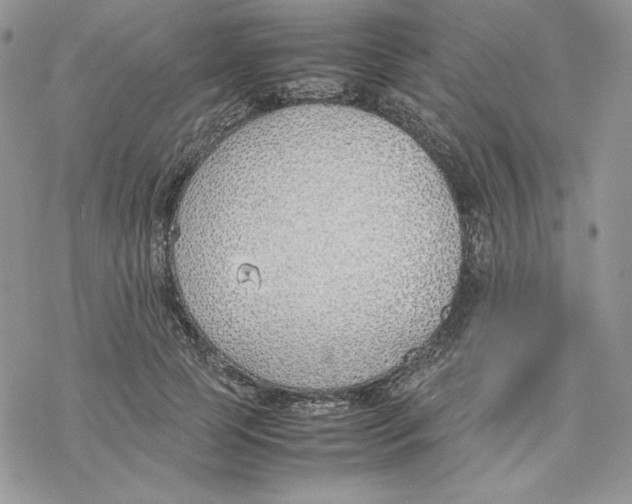 X0000077280745200611171602