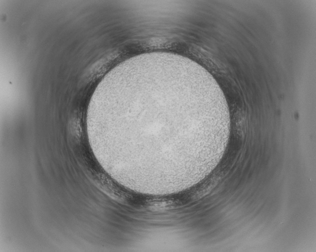 X0000077280746200611171602