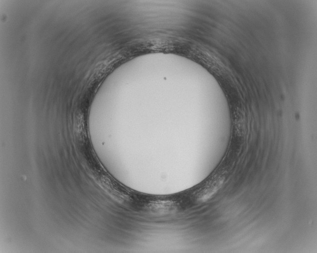 X0000077280748200611171602