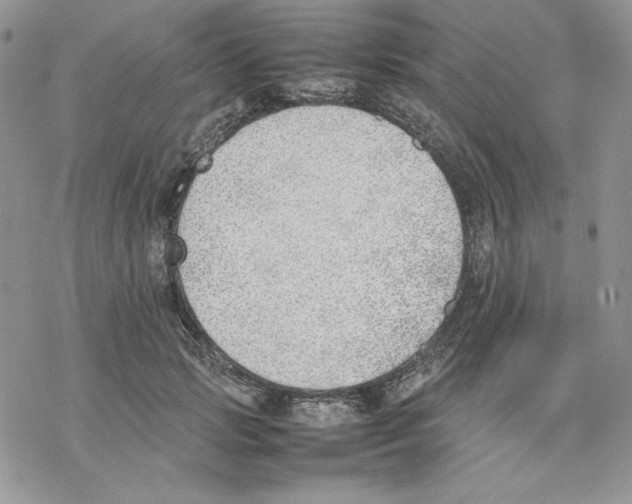 X0000077280749200611171602