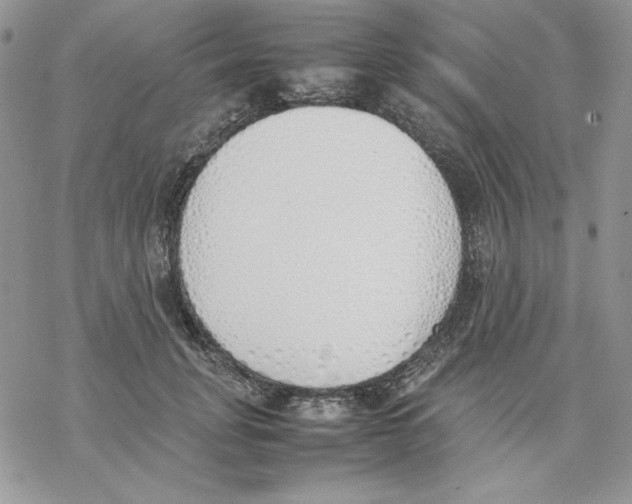 X0000077280751200611171602