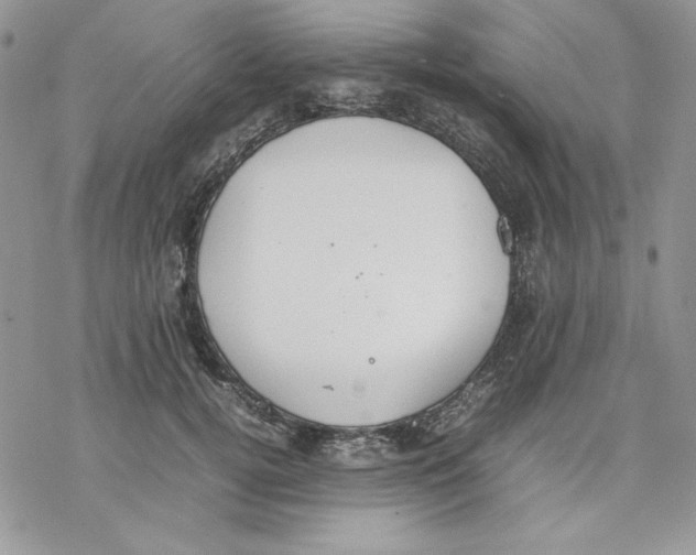 X0000077280752200611171602