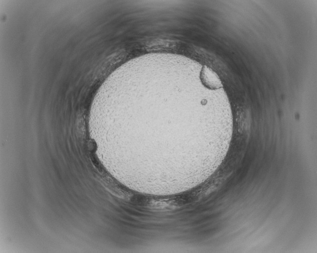 X0000077280753200611171602