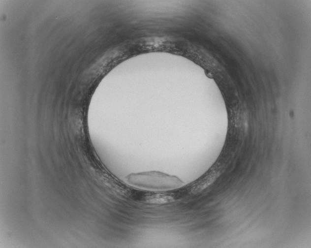 X0000077280754200611171602