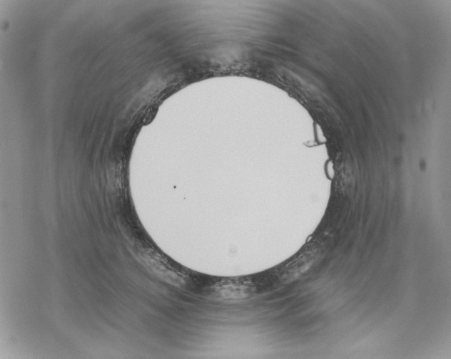 X0000077280756200611171602