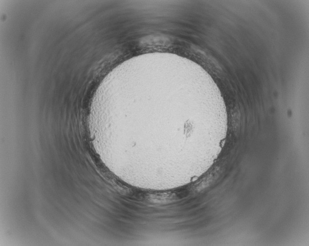 X0000077280757200611171602