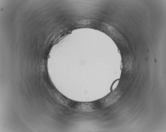 X0000077280758200611171602