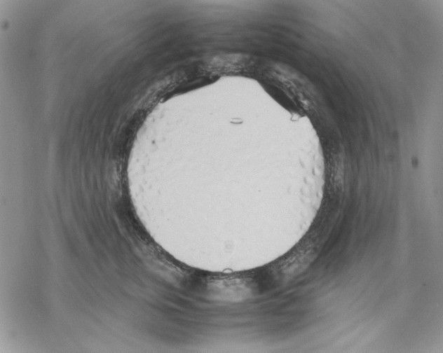 X0000077280759200611171602