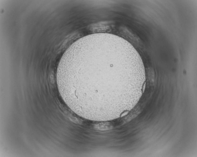 X0000077280761200611171602