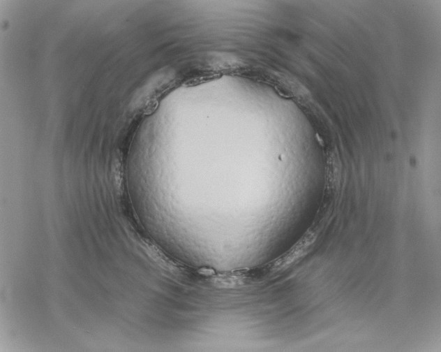 X0000077280762200611171602