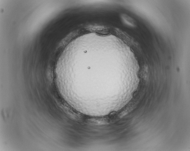 X0000077280763200611171602