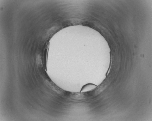 X0000077280768200611171602