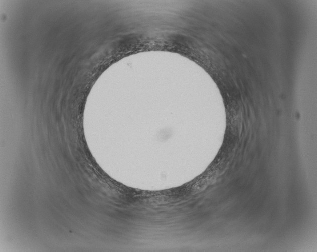 X0000077280769200611171601