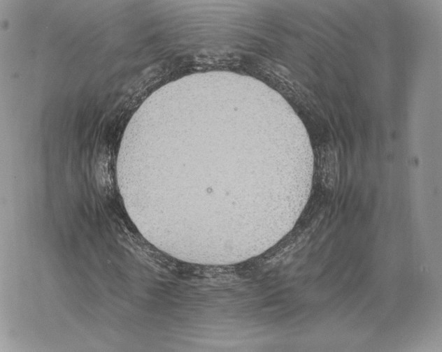 X0000077280770200611171601