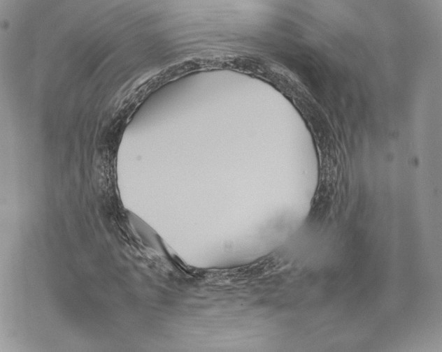 X0000077280773200611171601