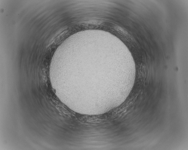 X0000077280774200611171601