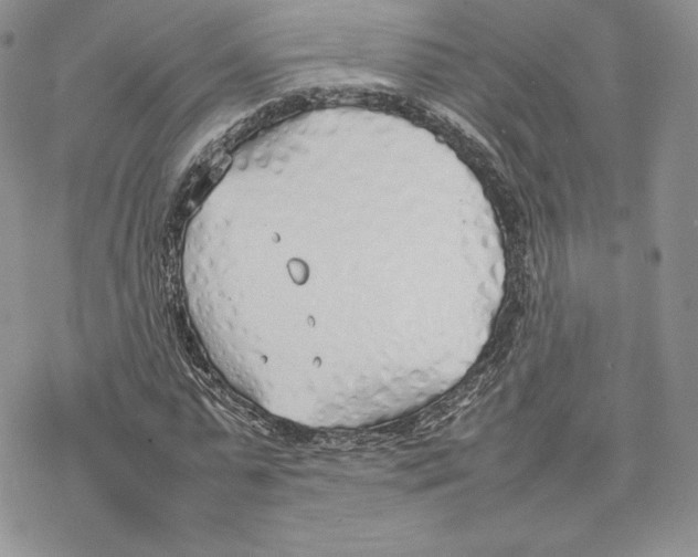 X0000077280775200611171601