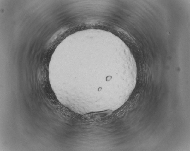 X0000077280776200611171601