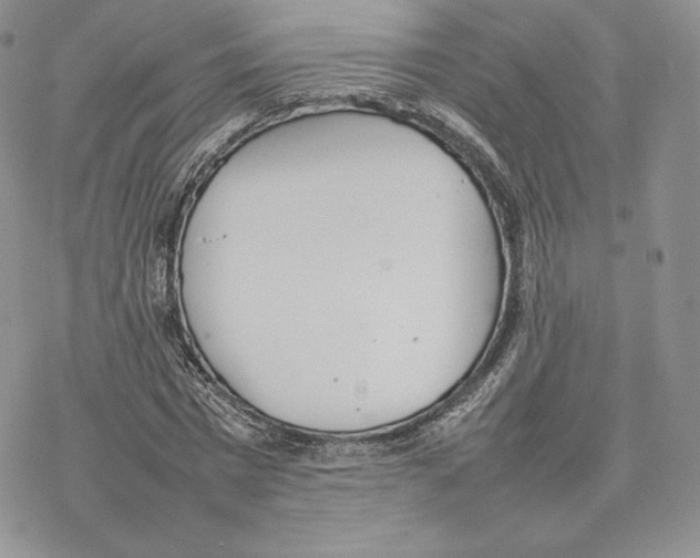 X0000077280777200611171601