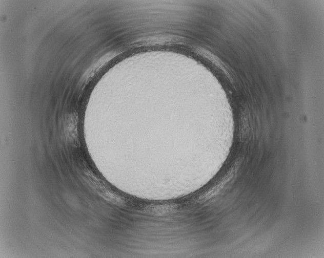 X0000077280778200611171601