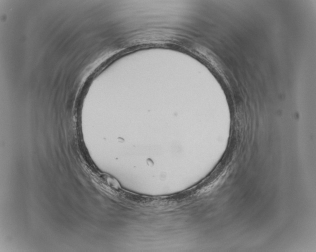 X0000077280779200611171601