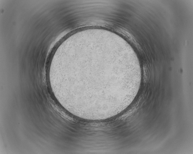 X0000077280780200611171601