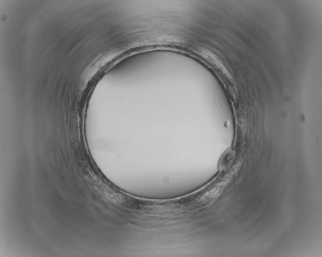 X0000077280781200611171601